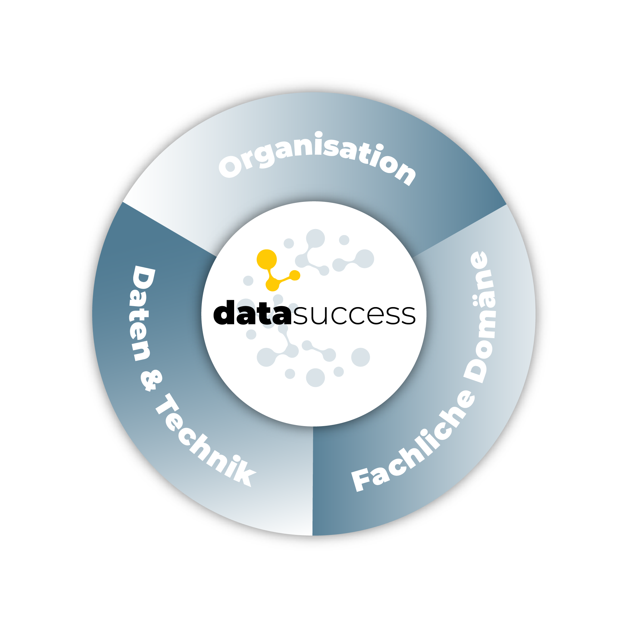 Infografik Data success: Organisation, Fachliche Domäne, Daten & Technik